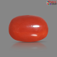 Italian Red Coral 5.03 cts