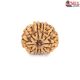 Natural Nepali 10 Mukhi Rudraksha 