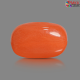 Italian Red Coral 6.97 cts