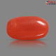 Italian Red Coral 5.93 cts
