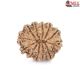 Natural Nepali 12 Mukhi Rudraksha