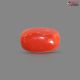 Italian Red Coral (Moonga) 5.70 Carats