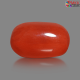 Italian Red Coral 6.20 cts