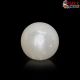  South Sea Pearl (Moti) 5.90 Carat