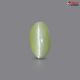 Natural Chrysoberyl Cat's Eye 