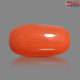 Italian Red Coral 6.18 cts