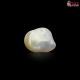 Keshi Pearl 3.89 Carat