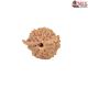 Natural Ganesha Rudraksha 