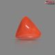 Italian Red Coral (Moonga) 6.40 Carats