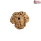 Natural Nepali 3 Mukhi Rudraksha
