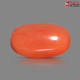 Italian Red Coral 6.34 cts