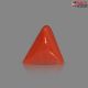 Italian Red Coral (Moonga) 6.30 Carats