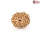 Natural Nepali 11 Mukhi Rudraksha 