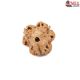 Natural Nepali 3 Mukhi Rudraksha