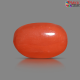 Italian Red Coral 6.23 cts