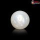  South Sea Pearl (Moti) 6.86 Carat