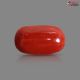 Italian Red Coral (Moonga) 5.84 Carats