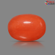 Italian Red Coral 6.26 cts