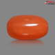 Italian Red Coral 6.62 cts