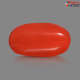 Italian Red Coral 4.74 cts