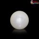  South Sea Pearl (Moti) 10.90 Carat