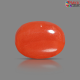 Italian Red Coral 5.88 cts