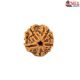 Natural 5 Mukhi Rudraksha 