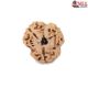 Natural Nepali 3 Mukhi Rudraksha