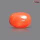 Italian Red Coral 12.10 cts