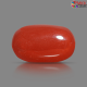 Italian Red Coral 5.45 cts