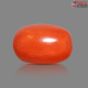 Italian Red Coral 6.45 cts