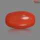 Italian Red Coral 5.73 cts