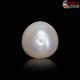 South Sea Pearl (Moti) 7.10 Carat