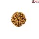 Natural 5 Mukhi Rudraksha 