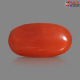 Italian Red Coral 5.24 cts