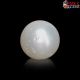  South Sea Pearl (Moti) 6.82 Carat