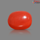 Italian Red Coral 5.88 cts
