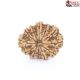 Natural Nepali 12 Mukhi Rudraksha