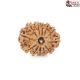Natural Nepali 12 Mukhi Rudraksha