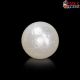  South Sea Pearl (Moti) 6.26 Carat