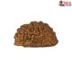 Natural 1 Mukhi Rudraksha