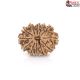 Natural Nepali 12 Mukhi Rudraksha