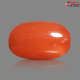 Italian Red Coral 6.95 carat