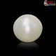 South Sea Pearl (Moti) 5.40 Carat
