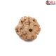 Natural Nepali 3 Mukhi Rudraksha