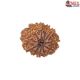 Natural Nepali 11 Mukhi Rudraksha