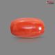 Italian Red Coral (Moonga) 5.49 Carats