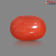 Italian Red Coral 5.94 cts