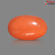 Italian Red Coral 6.83 cts