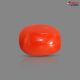 Italian Red Coral (Moonga) 5.14 Carats